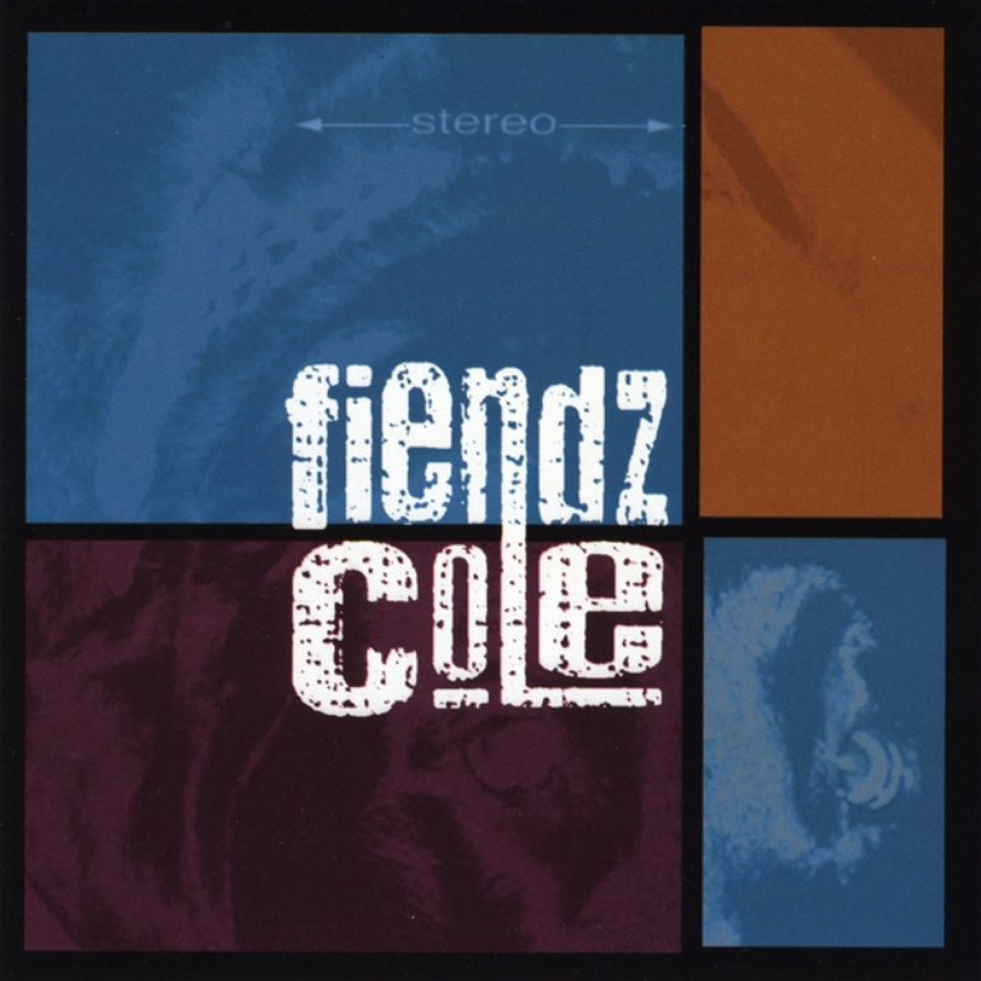 THE FIENDZ - "COLE" CD - INTO THE VOID Merch Co.